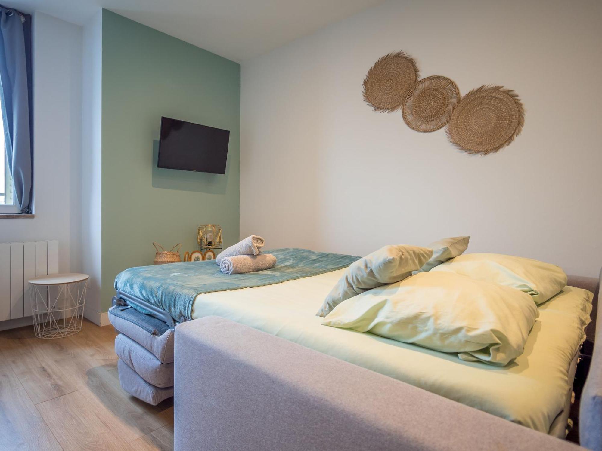 Le Cosy Twin Apartman Villefranche-sur-Saône Kültér fotó